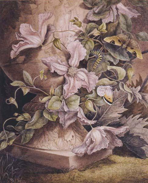 Mrs Theodore Henry Fielding Still-life (mk47) Spain oil painting art
